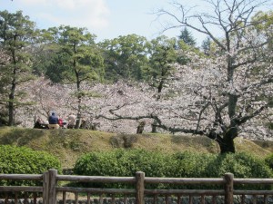 花見?!行ってきましたぁ~。