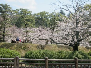 花見？！行ってきましたぁ～。