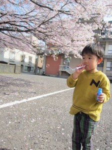 桜は散ってしまいましたが・・・「心温と桜とシャボン玉」