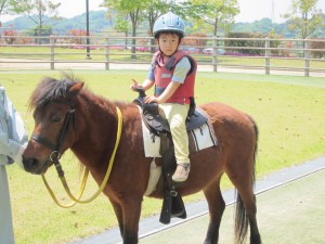 野間馬ハイランド