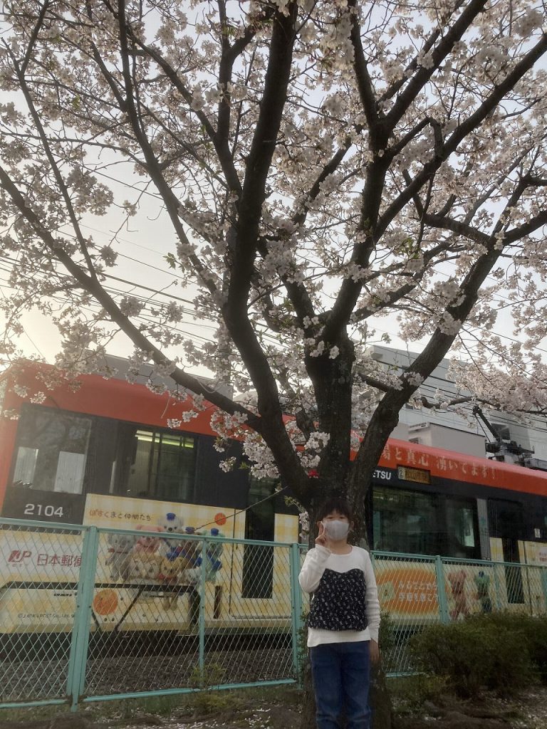 桜