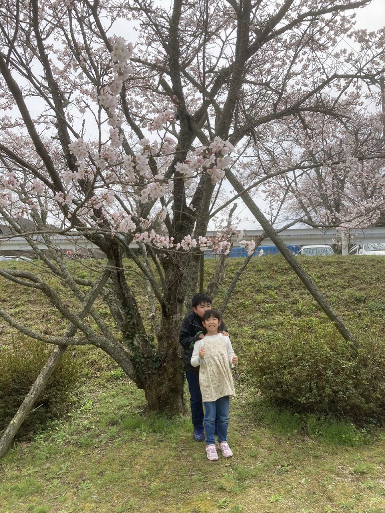 桜　その１